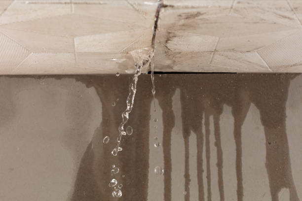 Professional Sewage Cleanup technician working in Higginsville, MO